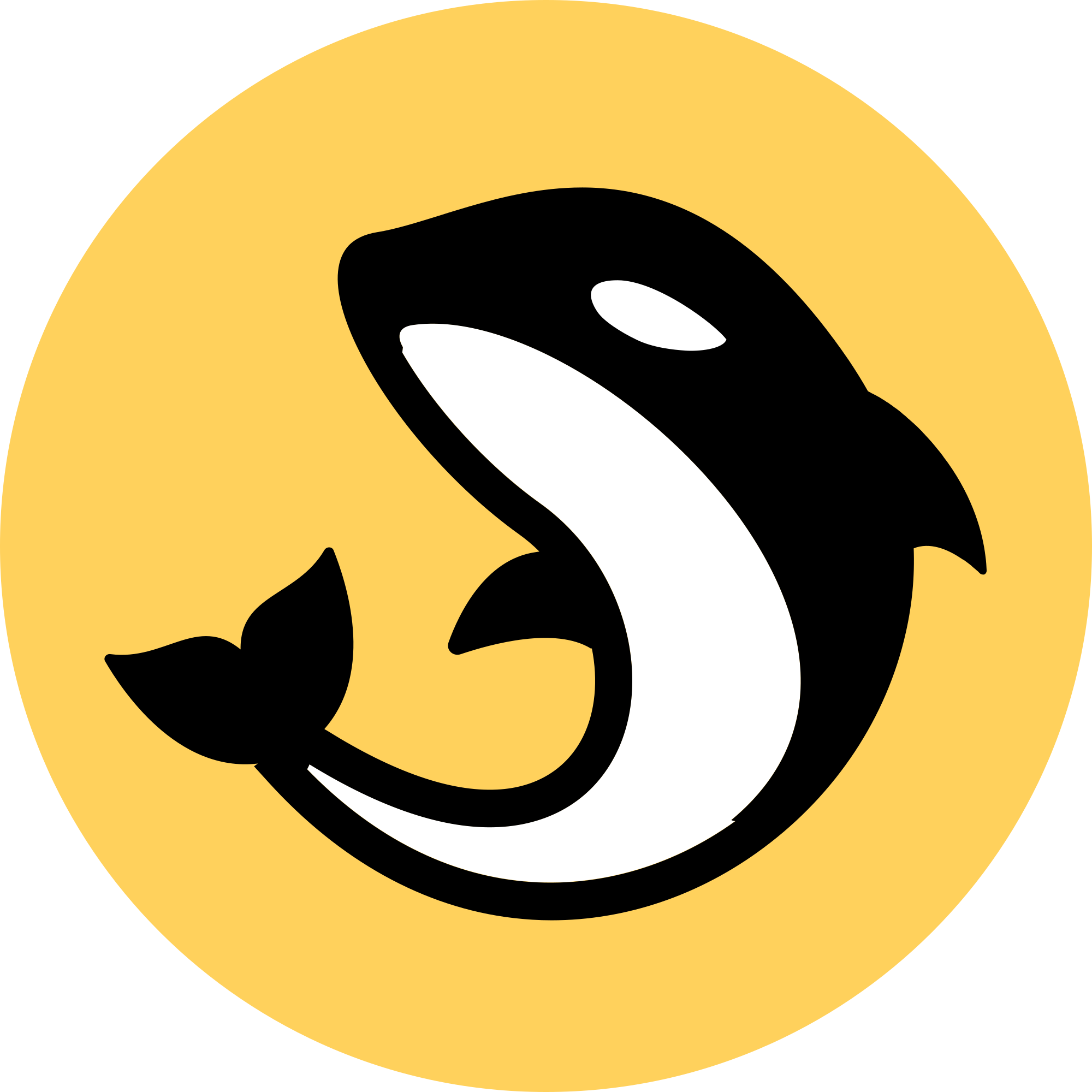 Orca Logo